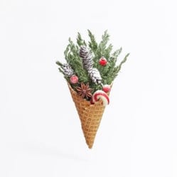 Christmas Flavoured Ice Creams